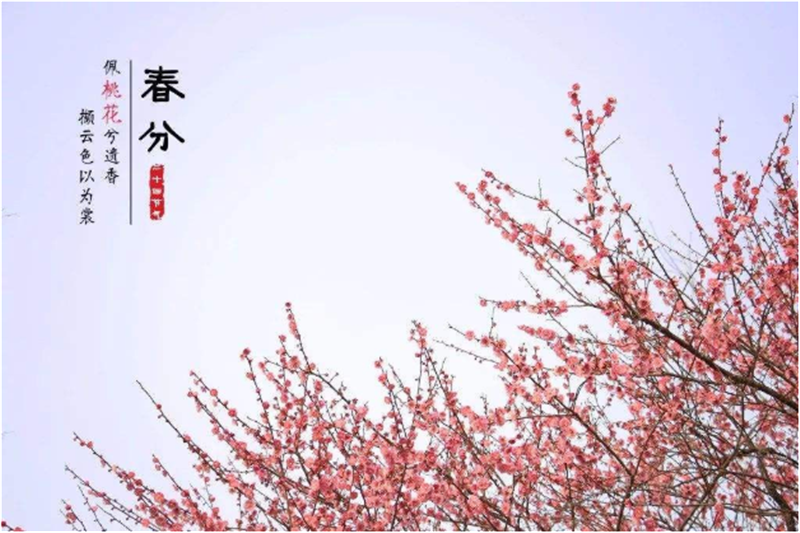 春分——轉載網(wǎng)絡(luò )圖片