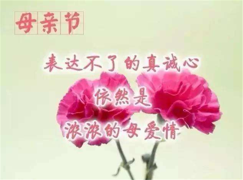 母親節——轉載網(wǎng)絡(luò )圖片